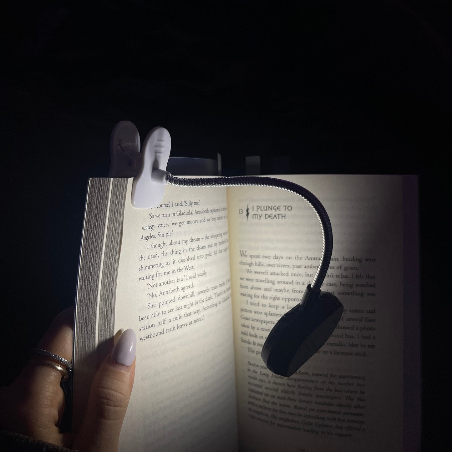 LARGE BOOK LAMP