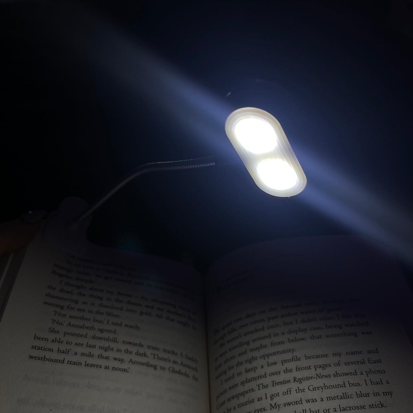 LARGE BOOK LAMP